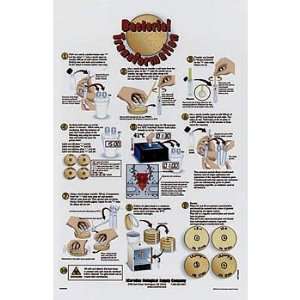 Bacterial Transformation Poster  Industrial & Scientific