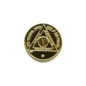 YEAR   22K Gold Plate AA Recovery Medallion / Coin   The GOLD Gift 