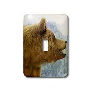 Florene Animals   Brown Bear Up Close   Light Switch Covers   single 