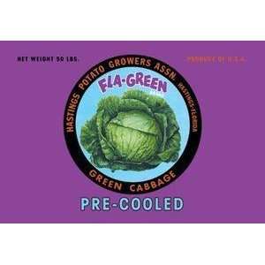    Vintage Art Fla Green Green Cabbage   12889 5