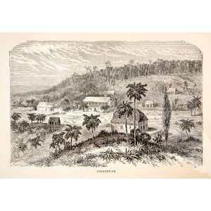  1871 Wood Engraving Cuba Orangeries Cityscape Greenhouse 