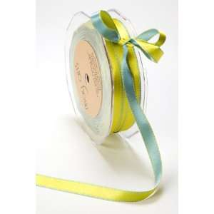  May Arts 3/16 Inch Wide Ribbon, Light Blue and Parrot 