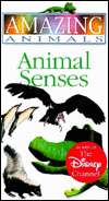   Amazing Animals Animal Senses by DK Publishing, DK 