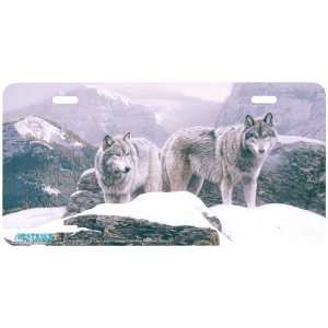 3519 The Summit Wolf License Plates Car Auto Novelty Front Tag by 