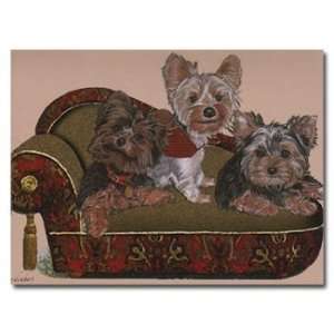  Three Little Yorkies Gift Enclosure Cards   Set of 5 