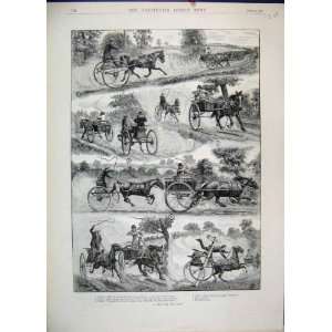    1893 Horses Racing Carriage Fitzowl Yokel Old Print