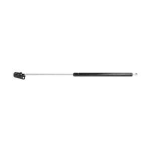  Strong Arm 4826 Hatch Lift Support Automotive