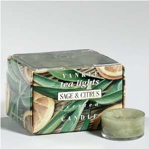  Yankee Candles Company Sage & Citrus Tealights Everything 