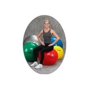  Theraband 75cm Exercise Ball   Blue Health & Personal 