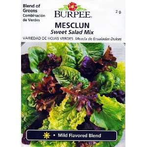  Burpee Mesclun Sweet Salad Mix   1.5 grams Patio, Lawn 