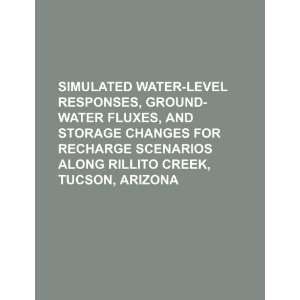  Simulated water level responses, ground water fluxes, and 