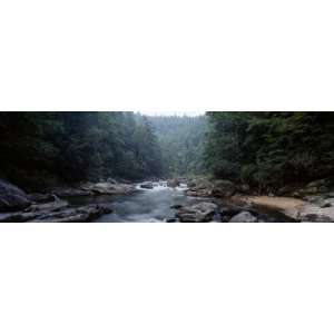 Flowing Through a Forest, Chattooga River, Georgia Near South Carolina 