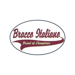  Bracco Italiano Shirts