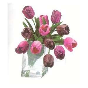 Stunning Tulips in Glass Vase  Grocery & Gourmet Food