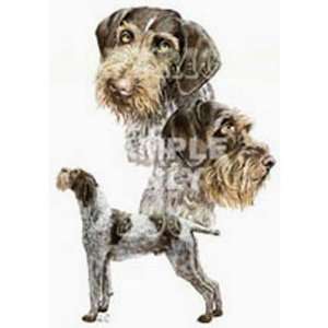  German Wirehaired Night Light