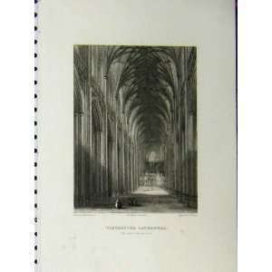   Winchester Cathedral C1850 Nave Browne Winkles Print