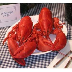 lbs Live Cold Water Lobsters Grocery & Gourmet Food