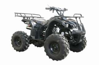 3125=XR8 UTILITY ATV NEW WITH A WARRANTY 3125=XR8 UTILITY ATV NEW WITH 