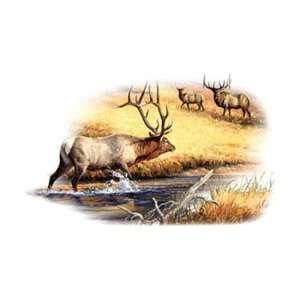  T shirts Animals Wildlife Deer The Challenger(elk) XXL 