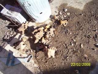 teeth trencher parts ditch witch carbide ? points  