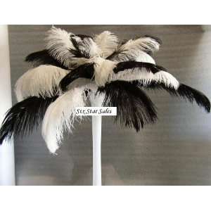  Lot 12 with 400 Shiny Black/ Bleach White Ostrich Feathers 