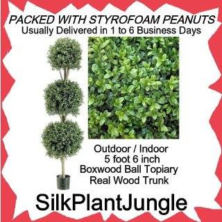   Ball Outdoor Indoor Potted Topiary Tree Plant packed in peanuts