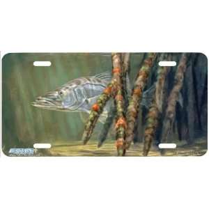 5061 Patience Snook Fish License Plate Car Auto Novelty Front Tag by 