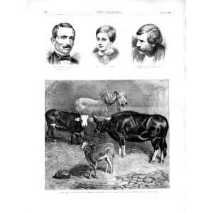    1872 Balta Guise Sykes Brahmin Bull Cow Heifer Calf