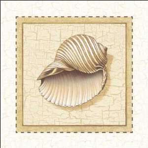  Seashells III by Alexandra Werby. Size 12.00 X 12.00 