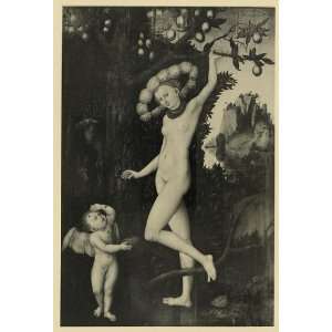   Cupid Complaining,Venus,Lucas Cranach the Elder,c1936