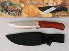 Wildlife Collection Knife Picturing Bear Blade  