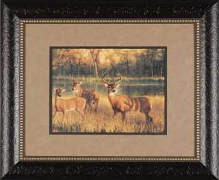 Shadow Time Nancy Glazier Framed Print Wildlife Deer  