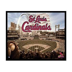  St. Louis Cardinals Team Glory on Canvas Sports 