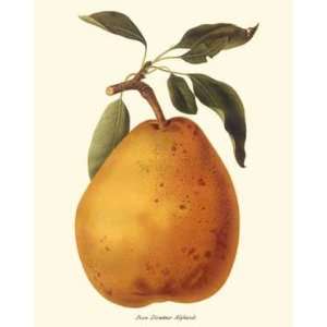    Botanical Fruit Print Pear Directeur Alphand