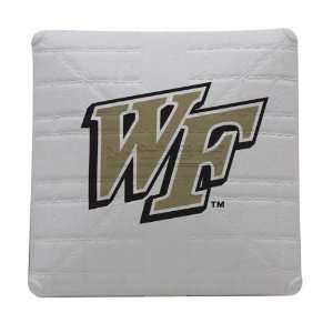  Wake Forest Demon Deacons Schutt NCAA Licensed Mini Baseball 