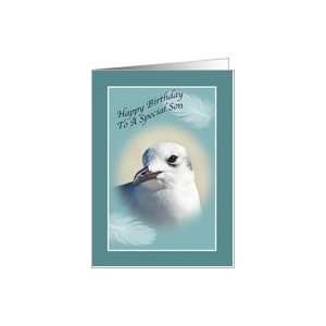  Sons Birthday Card with Laughing Gull Card Toys & Games