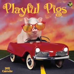  Playful Pigs 2012 Wall Calendar