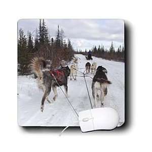  Kike Calvo Arctic   Arctic Sledding Dogs, Churchill 