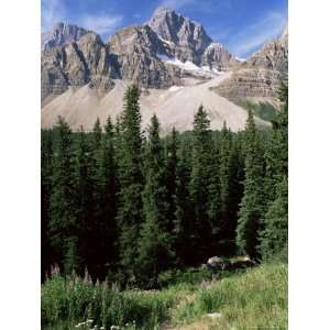  National Park, Unesco World Heritage Site, Alberta, Canada, North 