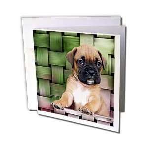  Dogs Boxer   Brindle Boxer Puppy   Greeting Cards 6 