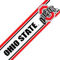 OHIO STATE BUCKEYES OSU College Wallpaper WALL BORDER  