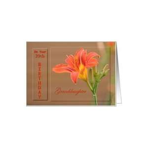   Granddaughter ~ Age Specific 29th ~ Orange Day Lily Card Toys & Games