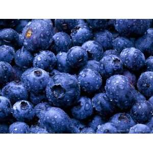  VintnerS Harvest Blueberry Fruit Wine Base 96 Oz 