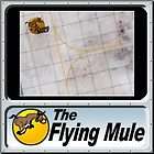 TW S0720102 3Wire Design Display Base, Flying Mule, Modern, Taxiway (9 