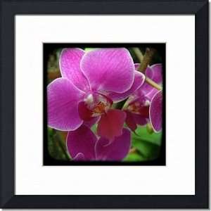 Through The Viewfinder Photography VI by Ricki Mountain 11x11 Framed 