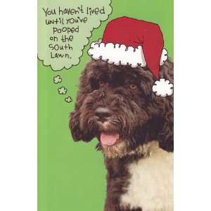  Greeting Card Christmas Humor Merry Christmas From Bo 