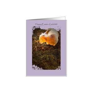  Easter, Godchild, Lamb on Hay in Spotlight Card Health 