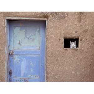 Next to a Blue Door, a Cat Peers Out of the Window of an Adobe House 