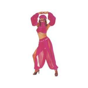  6 Piece Belly Dancer Costume with Coin Accents Everything 