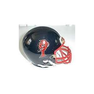  Orlando Predators Arena Mini Helmet   HOCKEY Sports 